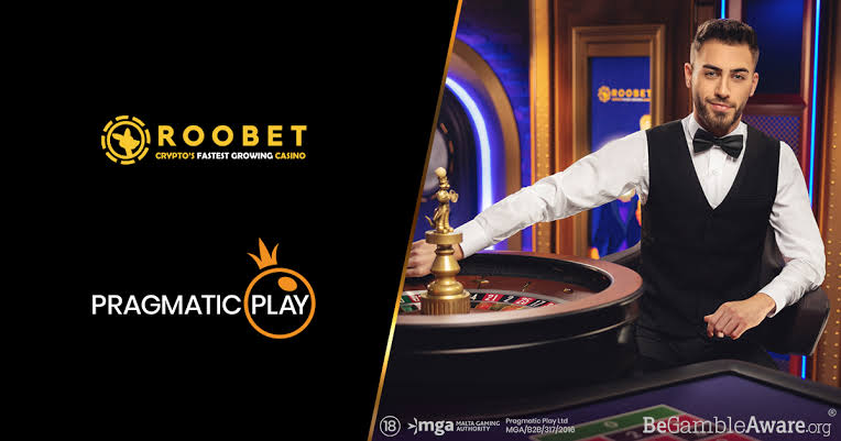 Roobet Gambling Enterprise Review 2026